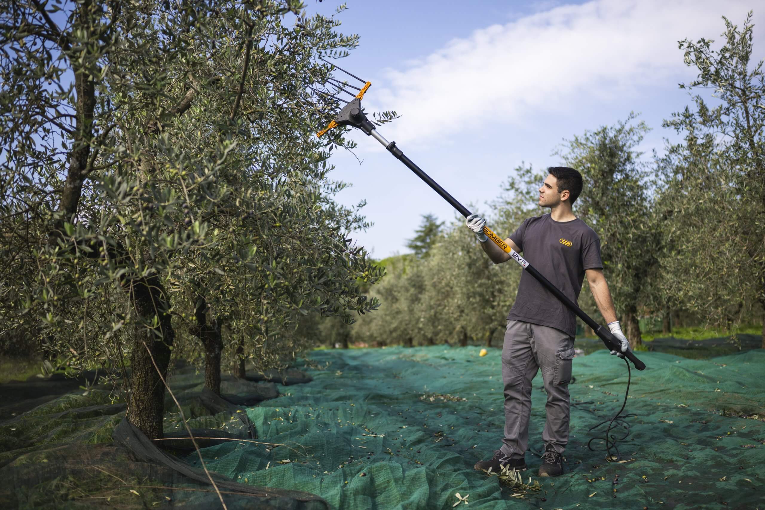 Bomber scuotitore per olive volpi originale